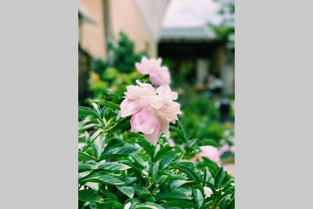 Cute Little House With A White Picket Fence Villa Burgas ภายนอก รูปภาพ